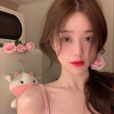湖畔春晓封面